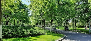 Inchiriez Apartament 2 cam, Vacaresti, Tineretului, Parc Lumea Copiilor, Metrou Piata Sudului si Mih - imagine 8
