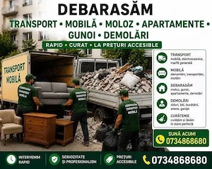 debarasare curățenie igenizare 