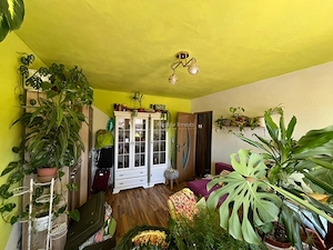 Otelu Rosu, 2 Camere, Et., 1, Ultracentral - imagine 11