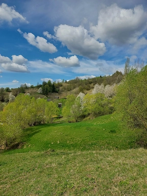 Teren de vanzare in Borsa, strada Malului, 28 ari, intravilan