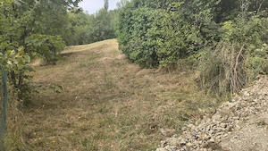 Teren de vanzare in Borsa, strada Malului, 28 ari, intravilan - imagine 6