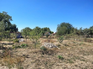 Otelu Rosu, Teren INTRAVILAN, 588mp - imagine 4