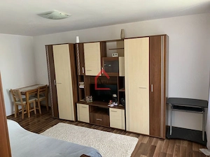 Apartament 1 camera Nicolina - imagine 5