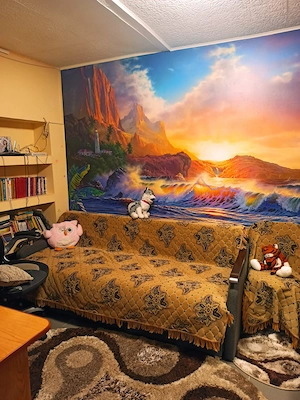 Casa de vanzare in zona Islaz  - imagine 5