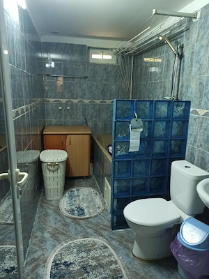 Casa de vanzare in zona Islaz  - imagine 8