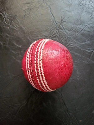 Minge de cricket