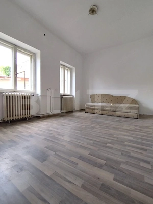 Casa istorica, 2 apartamnte, curte proprie- posibilitati multiple, zona Balcescu - imagine 14