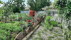 Casa de vanzare, 75 mp, 550 mp teren, zona Chetani  - imagine 2