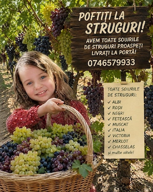 struguri de masa și de vin 