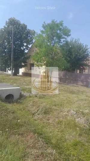 Casă individuală Dudeștii Noi | 2.526 mp teren | Pivniță - imagine 8
