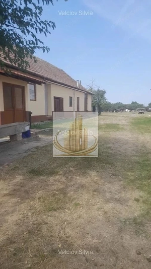 Casă individuală Dudeștii Noi | 2.526 mp teren | Pivniță - imagine 7