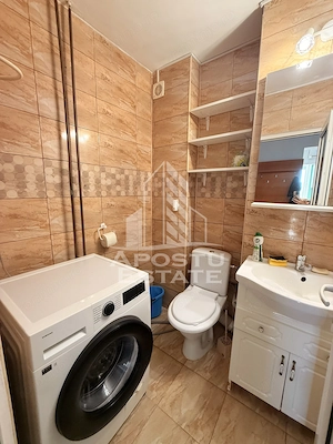 Apartament 2 camere de inchiriat, Centrala proprie, Sagului, Timis - imagine 5