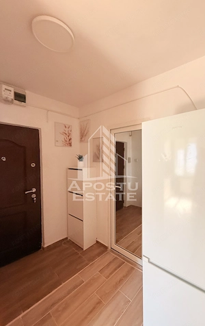 Apartament 2 camere de inchiriat, Centrala proprie, Sagului, Timis - imagine 4