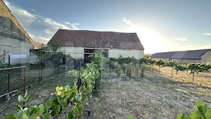 Casa în stare foarte bună situată în Beriu cu suprafața totală de 3446 MP - imagine 15