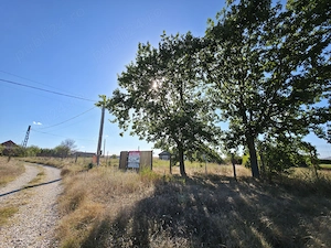Teren intravilan 3.239 mp + casă, acces pe 3 laturi   Murighiol