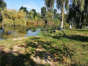 Vand balta pescuit jud Sibiu - imagine 4