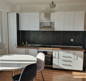 DRISTOR chirie apartament cu 2 camere - imagine 7