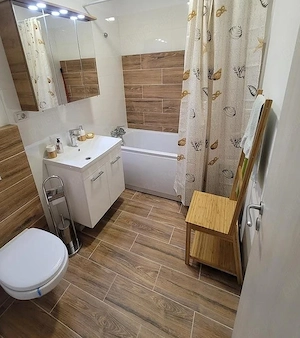 DRISTOR chirie apartament cu 2 camere - imagine 3