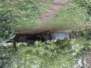 Casa bătrânească cu teren 20.000 mp - imagine 4