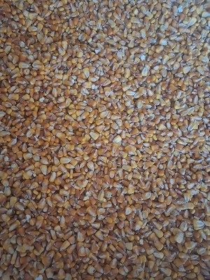 Grăunțe sticlos de vânzare 