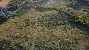 Vand teren sat Chitorani, comuna Bucov 5,62ha - imagine 5