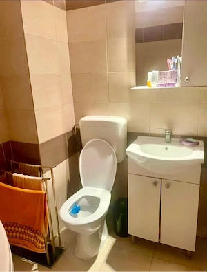 garsoniera direct  proprietar  - imagine 3