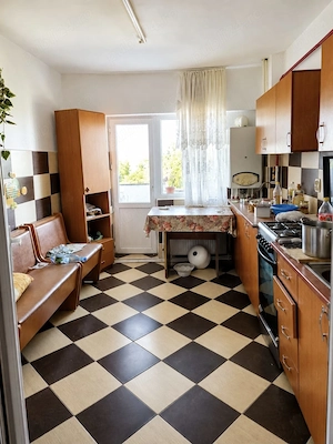 Vand apartament 5 camere duplex - imagine 4