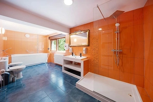 Vila individuala P+1+M*700 mp teren*337 mp construiti*Sectorul 1*Drumul Lapus - imagine 16