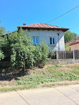 Vand Casa Sat CiuturaDolji - imagine 2