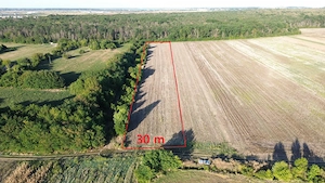 Teren pentru case la padure in Bolintin Deal. aces la 2 drumuri. - imagine 6