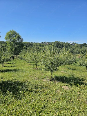Teren intravilan comuna Botoșana, județul Suceava - imagine 3