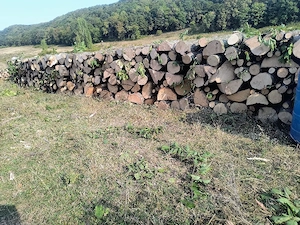 vand lemne de foc carpen si acati (salcam) 