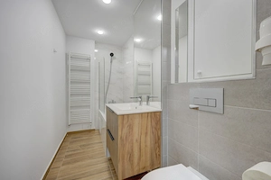 VITAN - OCTAVIAN GOGA - GARSONIERA 40 MP - RENOVATA TOTAL, ETAJ 2, BLOC CU LIFT! - imagine 5