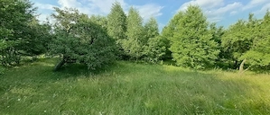Teren foarte frumos cu pozitie ideala 1.83ha 128.000Euros, direct proprietar Județul Argeș - imagine 4