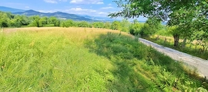 Teren foarte frumos cu pozitie ideala 1.83ha 128.000Euros, direct proprietar Județul Argeș - imagine 9
