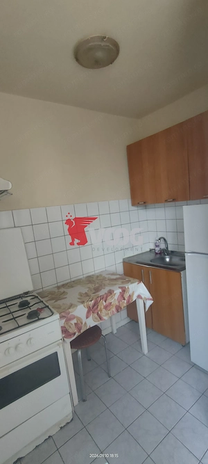 Apartament 1 cameră Sagului de vânzare - imagine 10