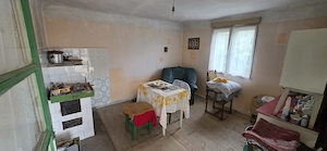 Vând casă în localitatea Mănăștiur, jud. Timiș - imagine 7