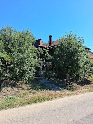 Vand Casa Sat CiuturaDolji - imagine 3