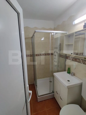 Apartament cu 4 camere 100 mp/pet friendly/parcare/Plopilor - imagine 9