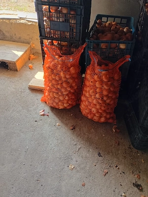 ceapă măruntă 20 kg