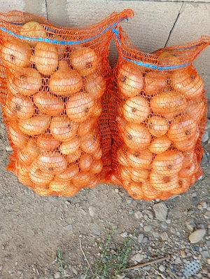 ceapă de vânzare 2 lei kg 