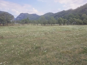 6800m  teren intravilan+casa locuibila din caramida cu toate utilitatile 
