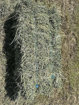 vindem baloți in Vidra Vrancea