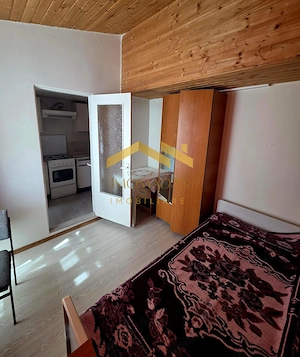Iosefin-2 Camere-Centrala proprie - imagine 3