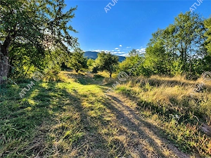 Teren extravilan 1200 mp in Sibiel langa Sibiu - ideal investitie - imagine 4