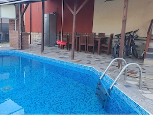 Schimb Vand vila cu piscina langa Manastirea Curtea de Arges - imagine 9