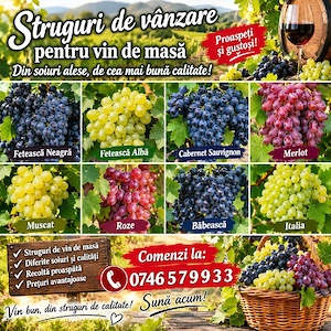 struguri proaspeți de vânzare