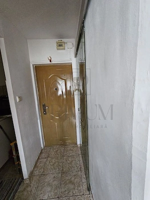 BUZIASULUI - APARTAMENT 1 CAMERA - mobilat, utilat, decomandat - imagine 5