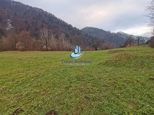 Teren Straja – Pangarati 3560 m, zona de Pensiune - imagine 8