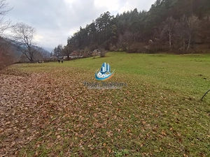 Teren Straja – Pangarati 3560 m, zona de Pensiune - imagine 10